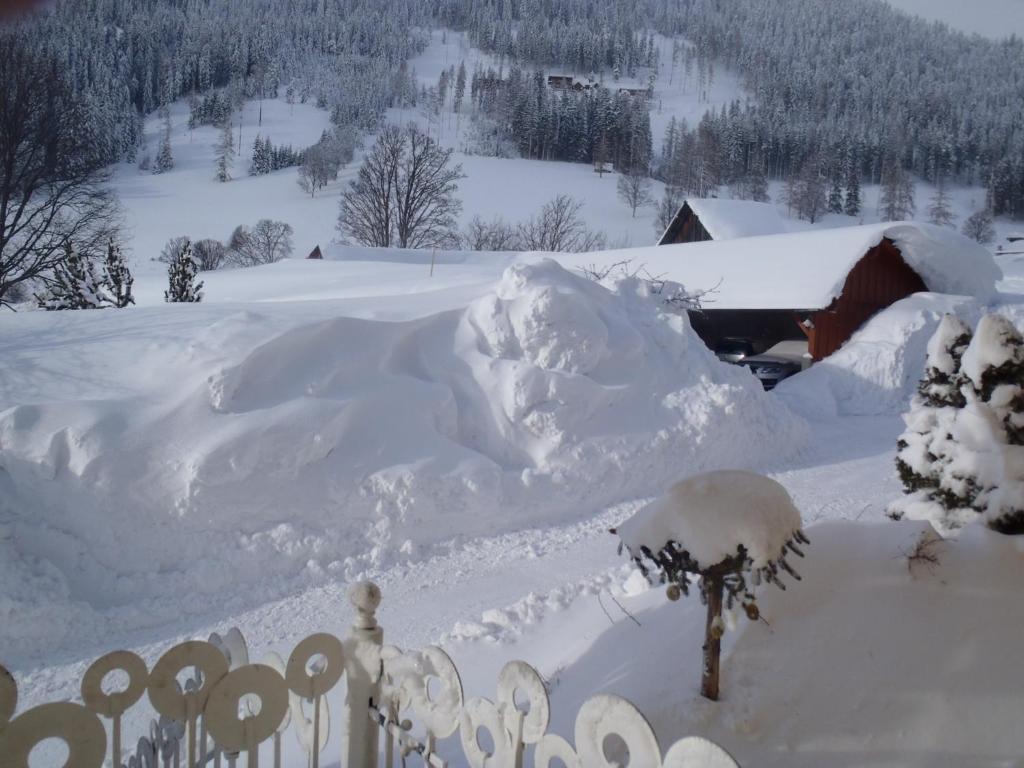Aparthotel Pfeffermuehle Ramsau am Dachstein Exterior photo